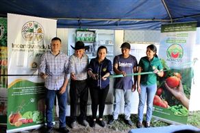 Proyecto FIA - Tienda Insumos