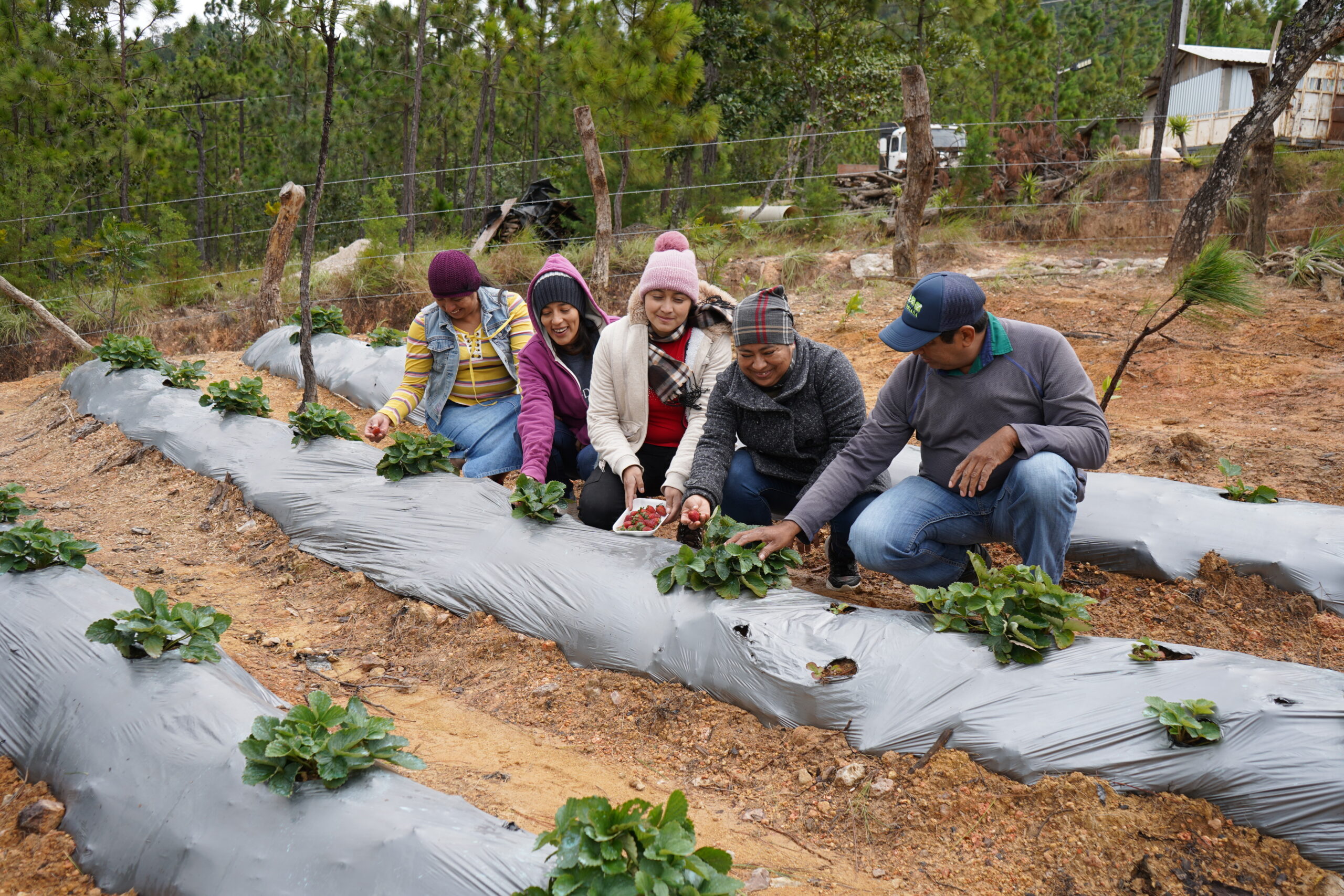 Cultivando el Sustento y Liderazgo Rural